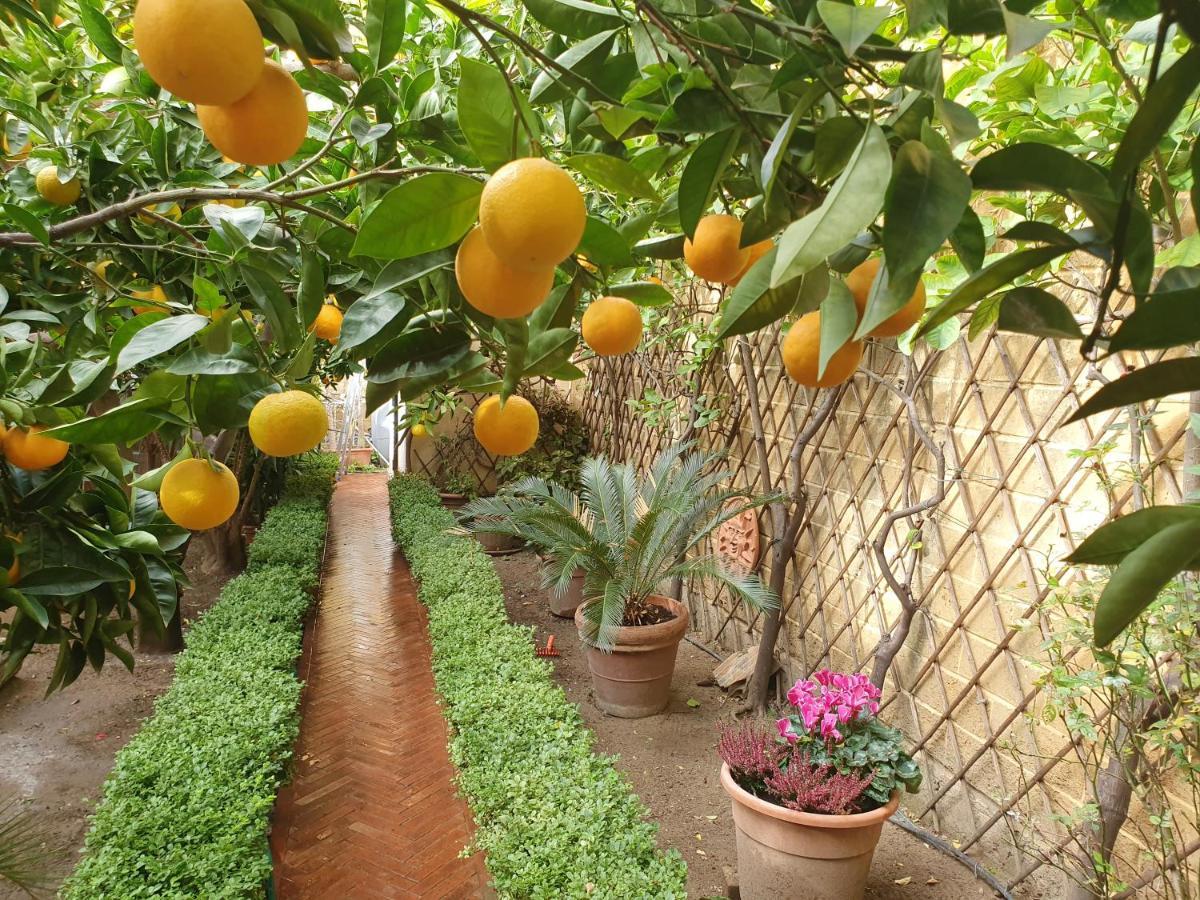 أغريجنتو Villa Goethe المظهر الخارجي الصورة