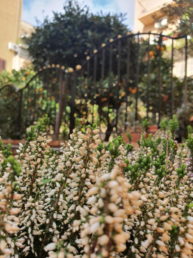 أغريجنتو Villa Goethe المظهر الخارجي الصورة
